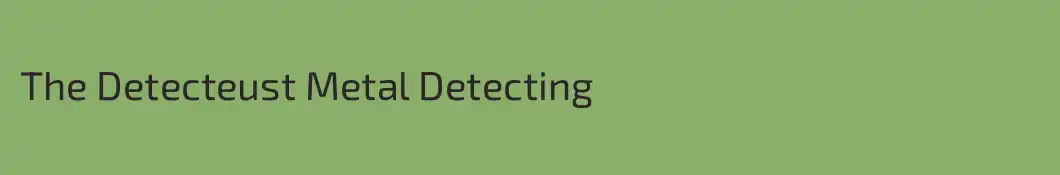 The Detecteust Metal Detecting